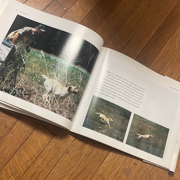 1995 Just Labs vintage hardcover book - Picture 14 of 17